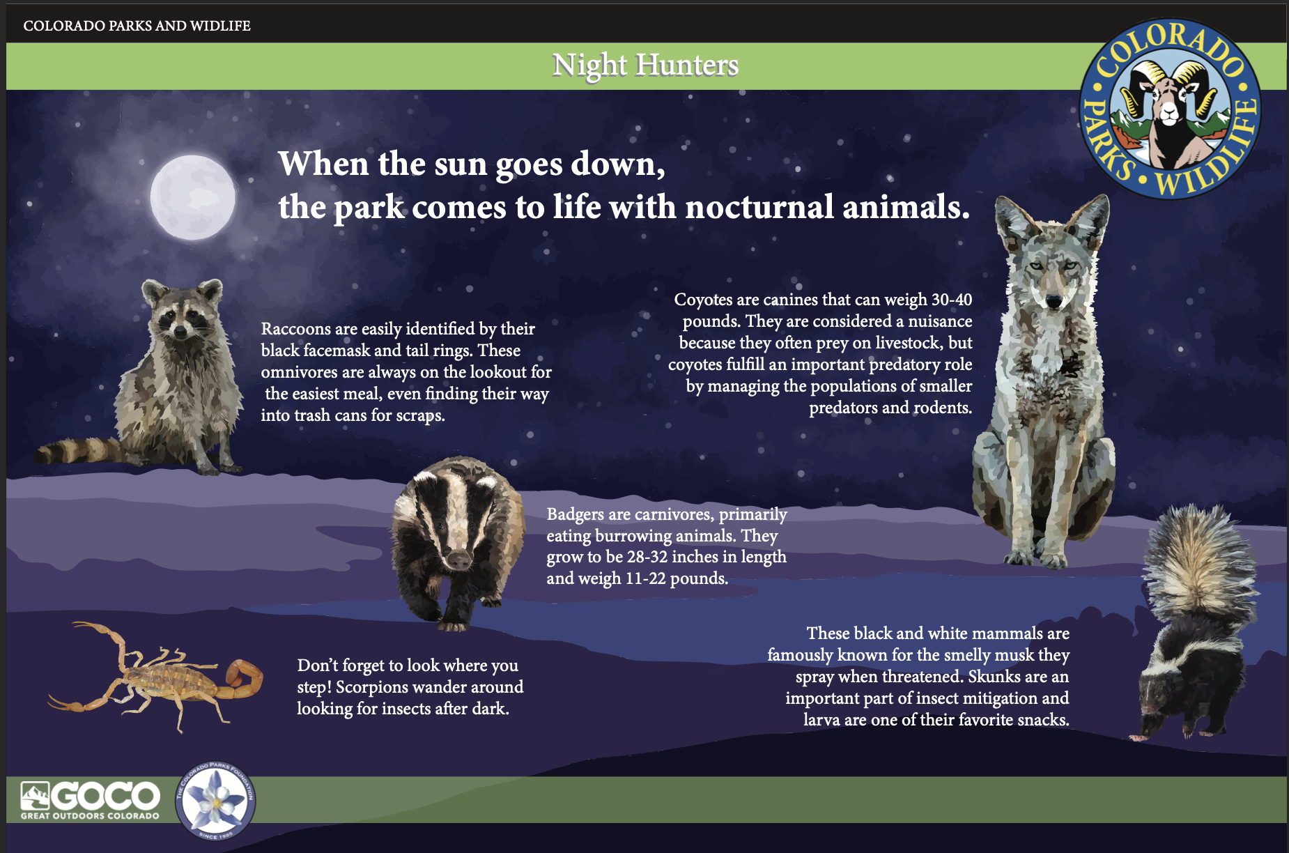 Night Hunters design